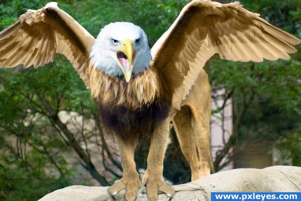 2042 Eagle